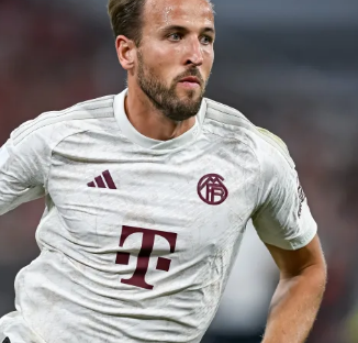 或许是一个 或许是一个